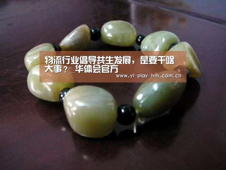 物流行业倡导共生发展，是要干啥大事？_华